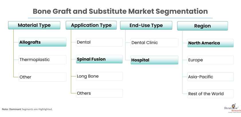 Bone-Graft-and-Substitute-Market-Segmentation